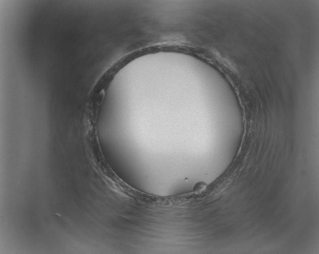 X0000075411400200610061945