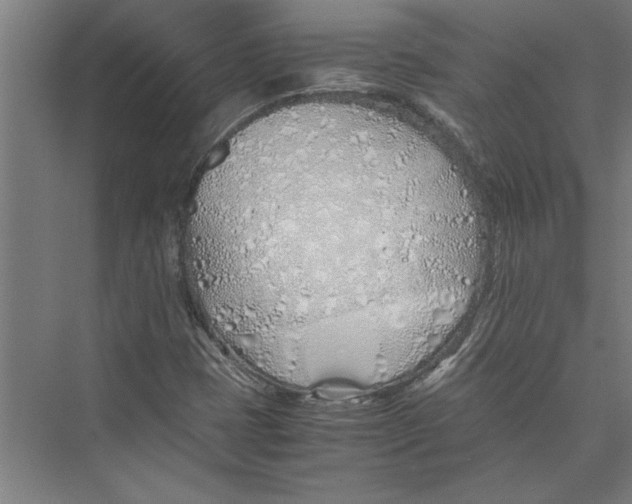 X0000075411401200610061945