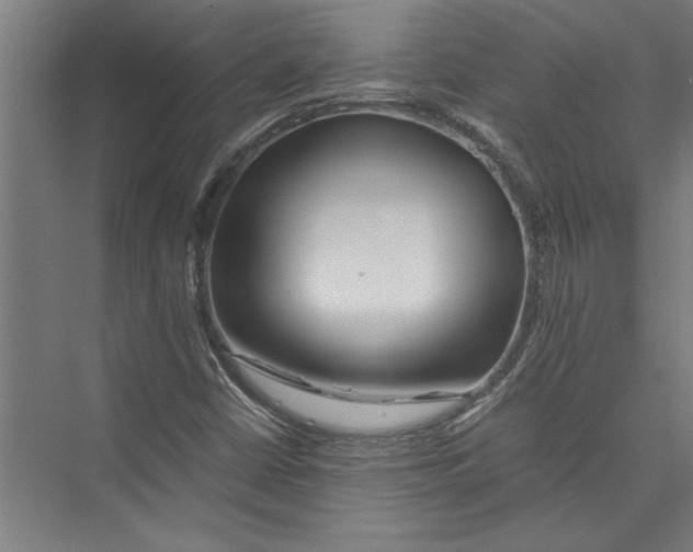 X0000075411402200610061945