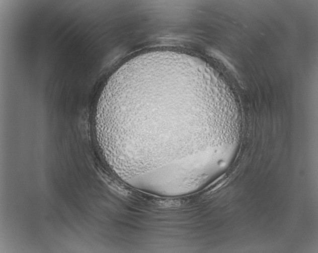 X0000075411403200610061945