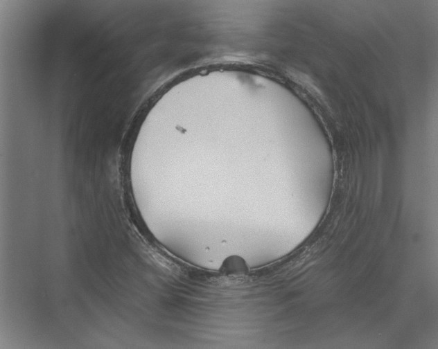 X0000075411404200610061945