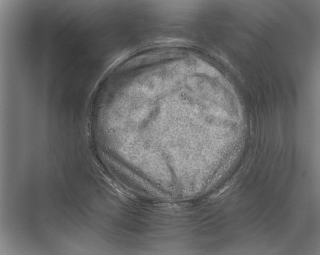 X0000075411405200610061945