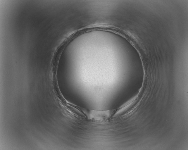 X0000075411406200610061945