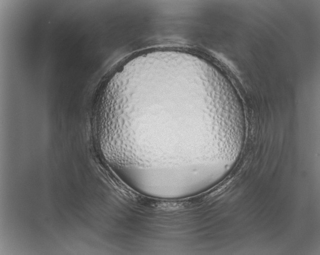 X0000075411407200610061945