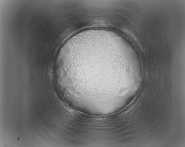 X0000075411409200610061945