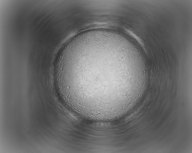 X0000075411411200610061945