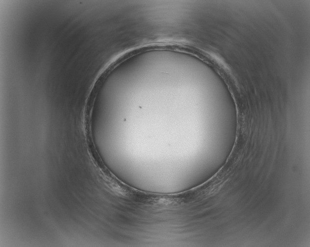 X0000075411412200610061945