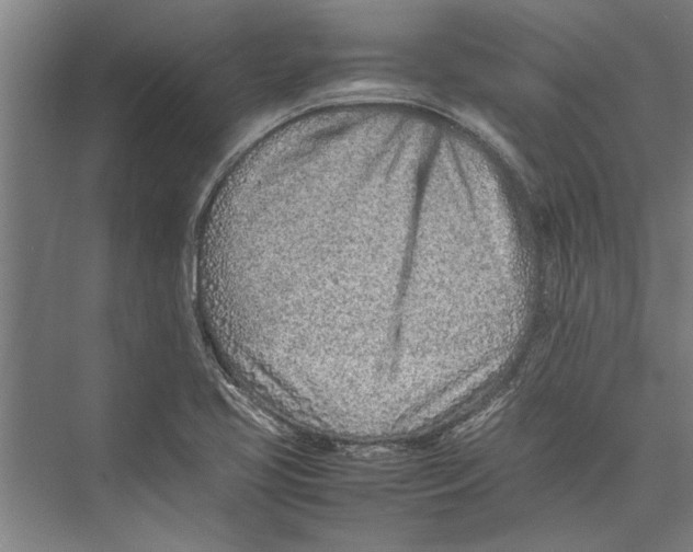 X0000075411413200610061945