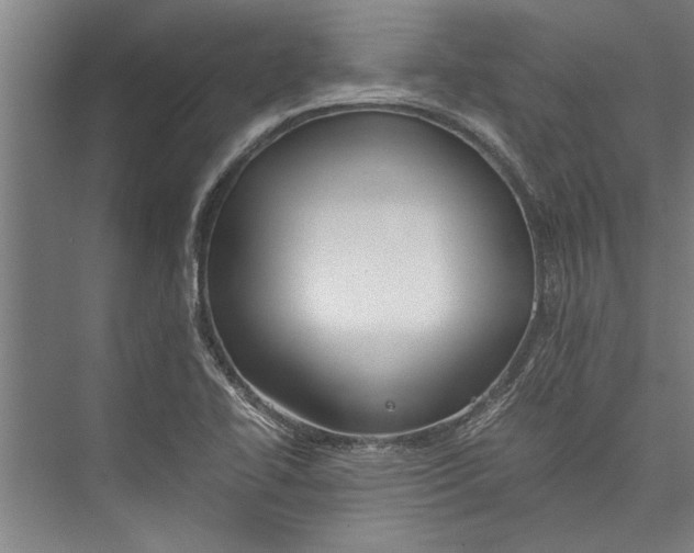 X0000075411414200610061945