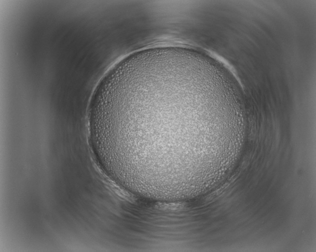 X0000075411415200610061945