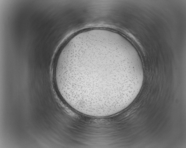 X0000075411416200610061945