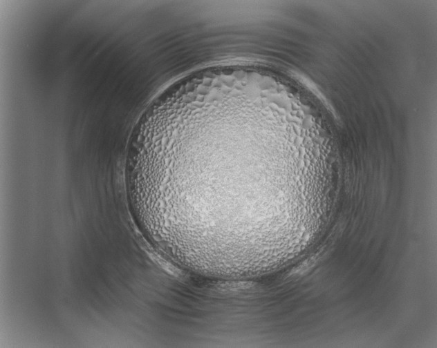 X0000075411417200610061945