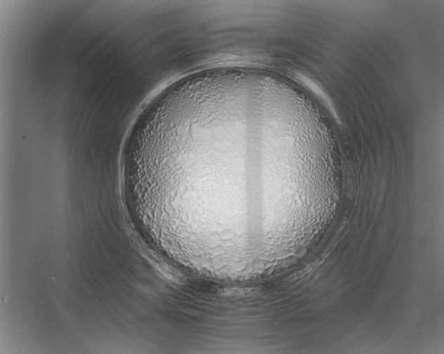 X0000075411419200610061946