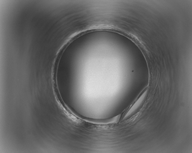 X0000075411422200610061946