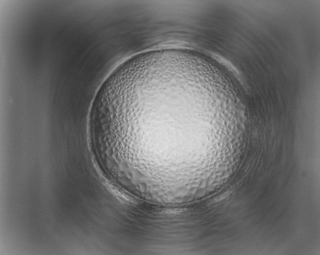 X0000075411423200610061946