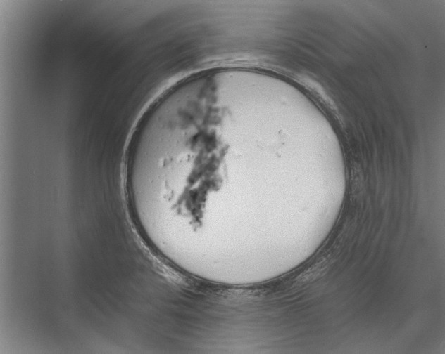 X0000075411424200610061946