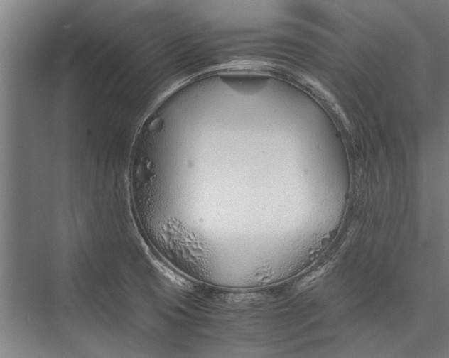 X0000075411425200610061946