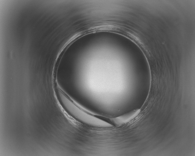 X0000075411426200610061946