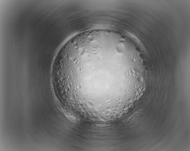 X0000075411427200610061946