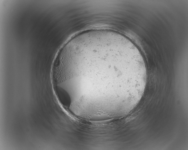 X0000075411429200610061946