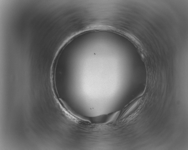 X0000075411430200610061946