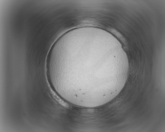 X0000075411431200610061946