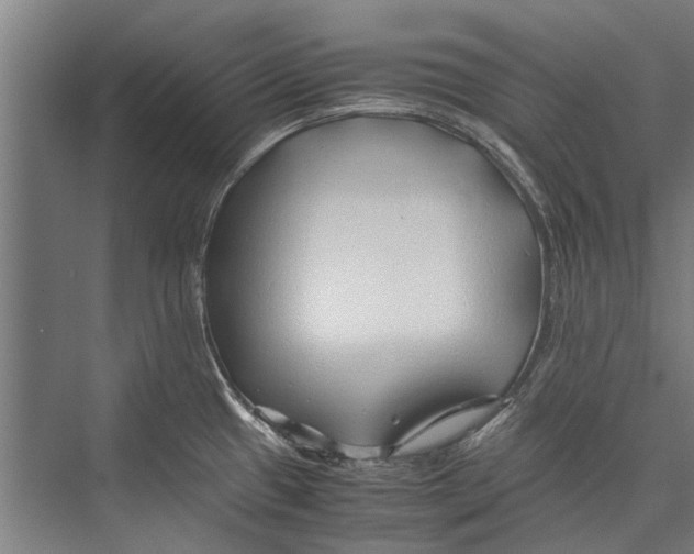 X0000075411433200610061946