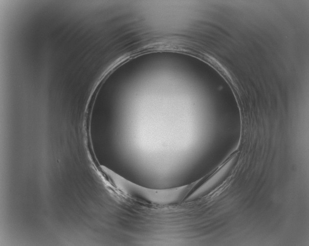 X0000075411434200610061946