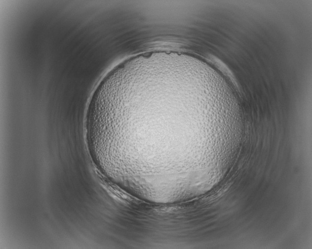 X0000075411435200610061946