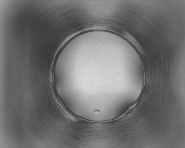 X0000075411436200610061946