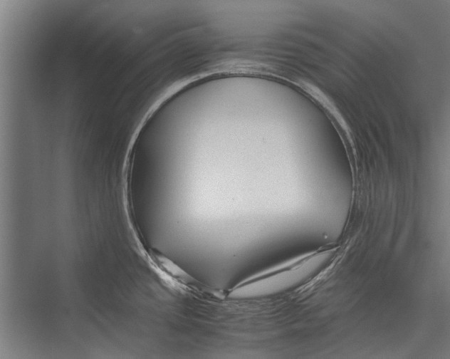 X0000075411437200610061946