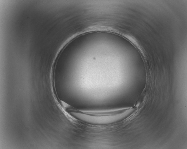 X0000075411438200610061946