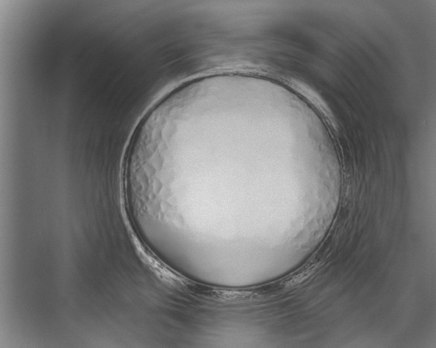 X0000075411439200610061946