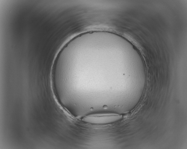 X0000075411440200610061946