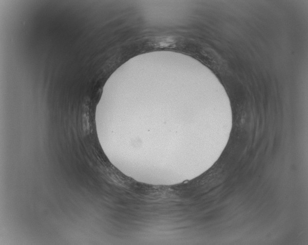 X0000075411442200610061945