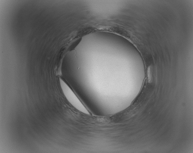 X0000075411443200610061945