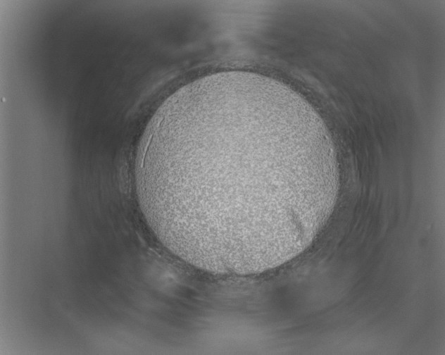 X0000075411446200610061945