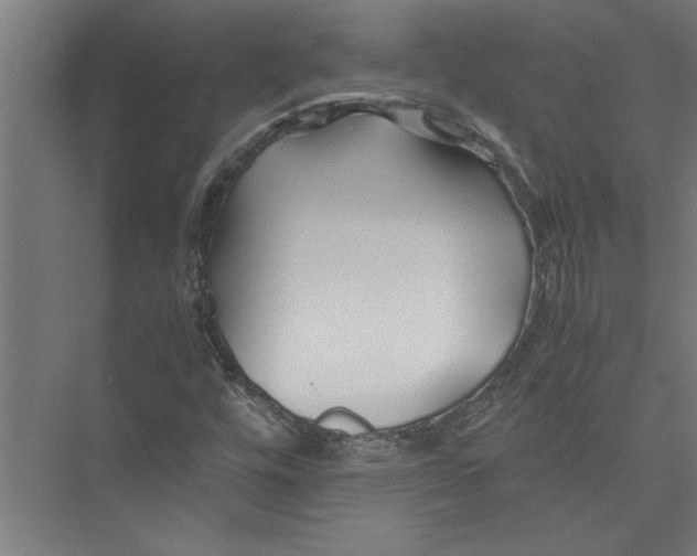 X0000075411448200610061945