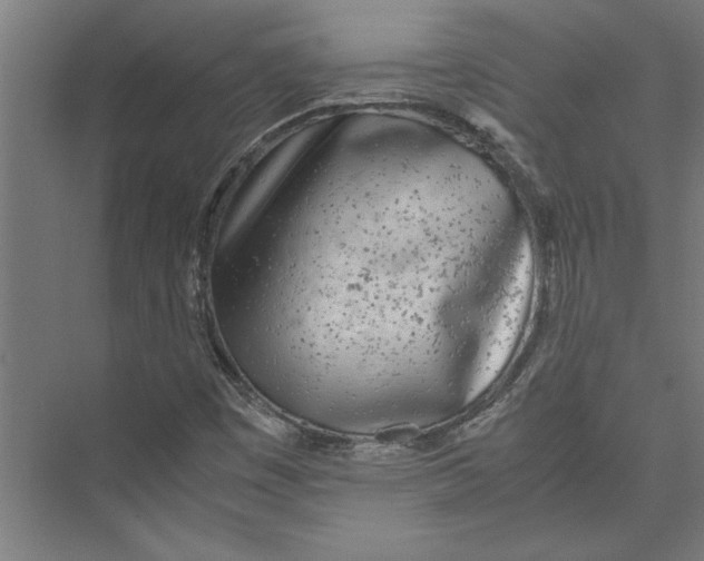 X0000075411449200610061945