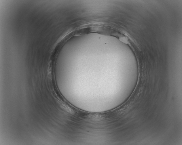 X0000075411450200610061945