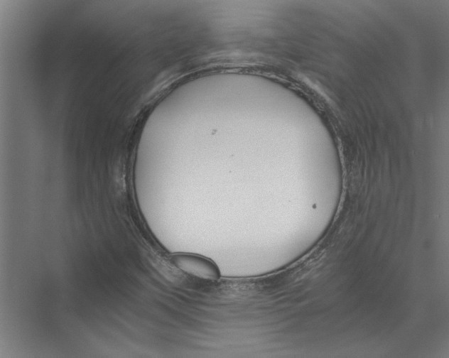 X0000075411451200610061945