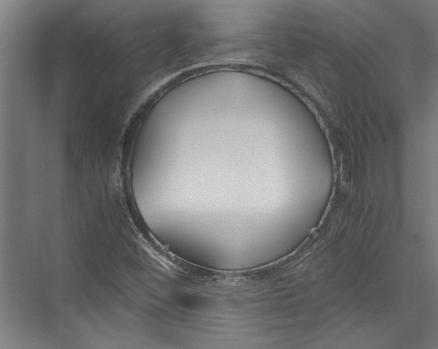 X0000075411452200610061945