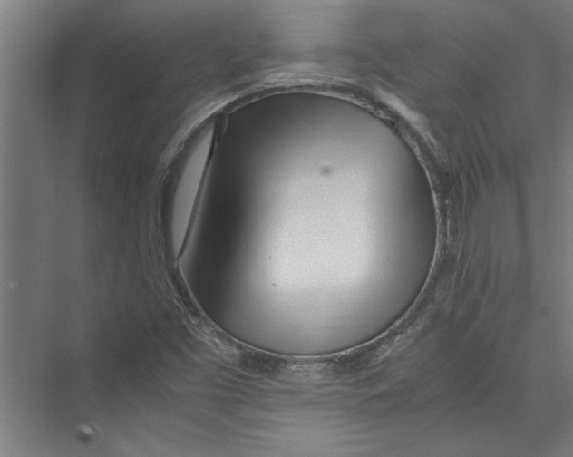 X0000075411453200610061945