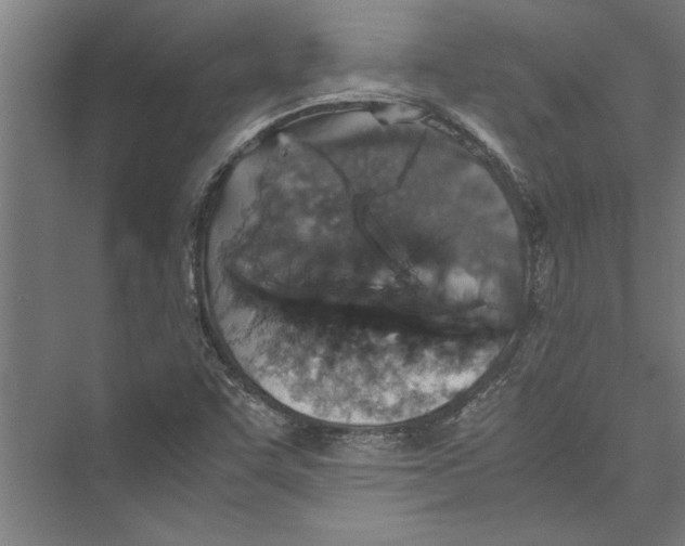 X0000075411455200610061945