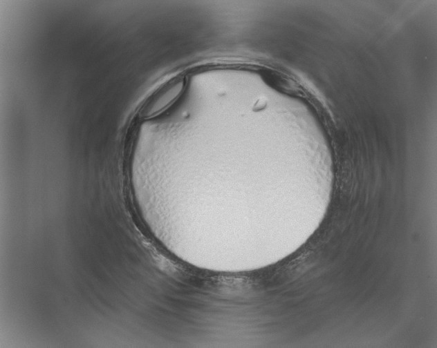 X0000075411456200610061945