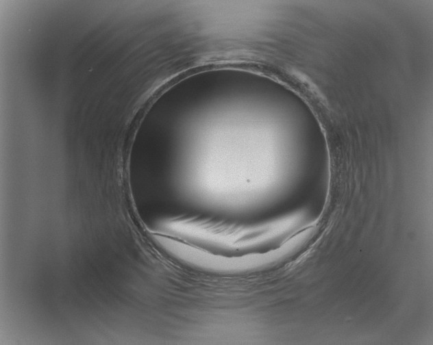 X0000075411457200610061945