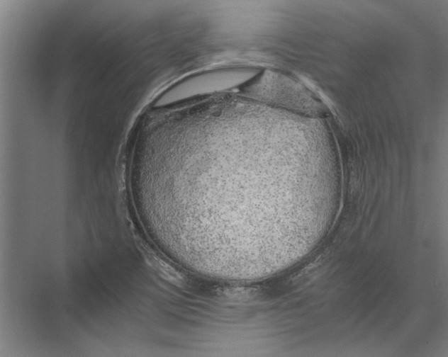 X0000075411459200610061945