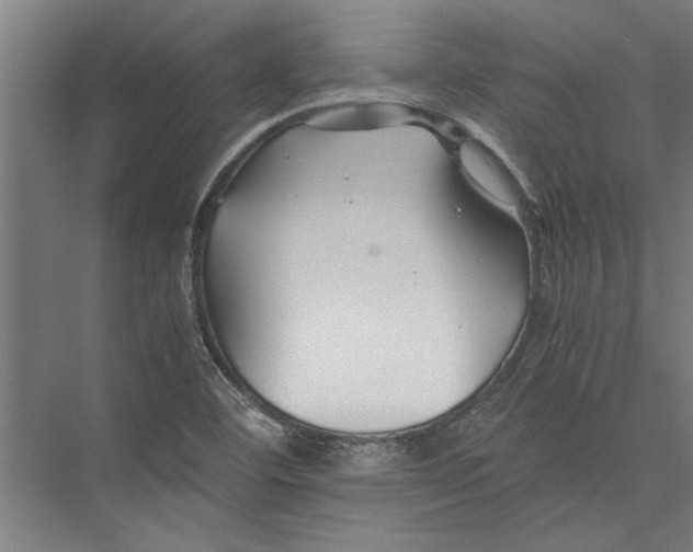 X0000075411460200610061945