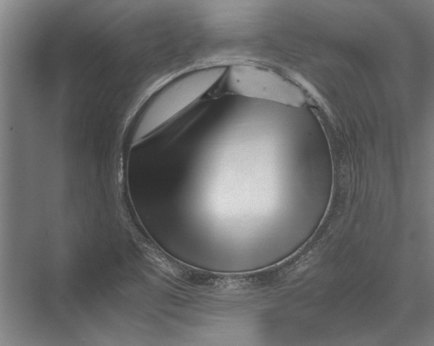 X0000075411461200610061945