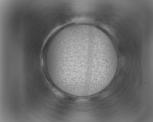 X0000075411462200610061945